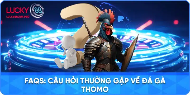 Câu Hỏi Chung Về Đá Gà Thomo
